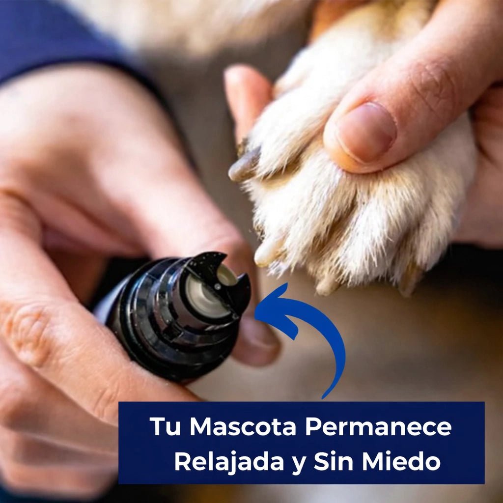 SilentGroom™ - Lima de Uñas Ultrasilenciosa  🖤 BLACK SALE 50%OFF 🖤